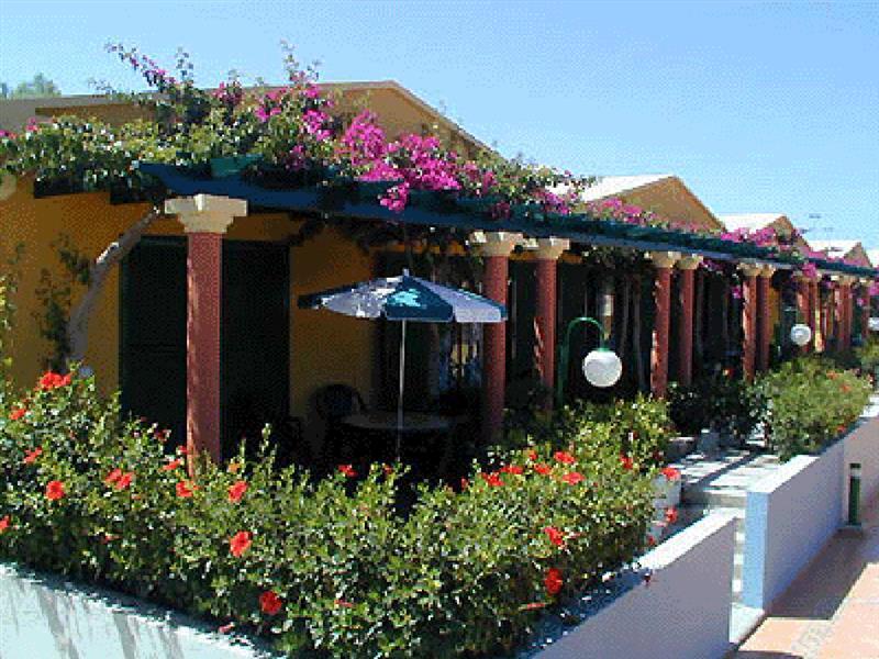 Bungalow En Complejo Tranquilo En Maspalomas Maspalomas  Exteriör bild